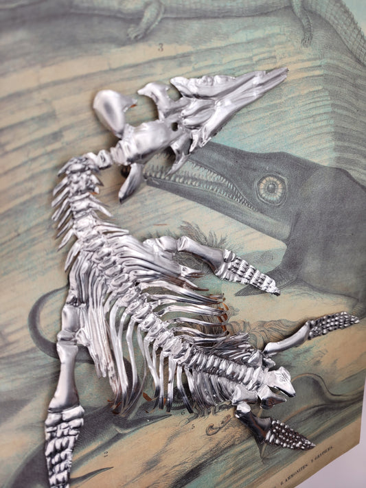 Silvery Sea Rex Pliosaur (Aluminium Marine Reptile Fossil Art)