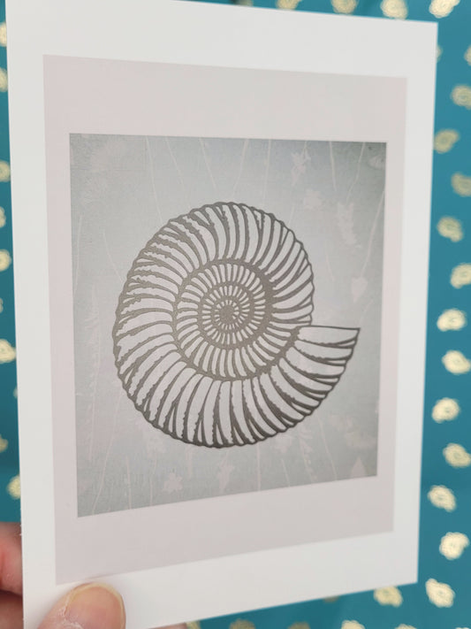 Ammonite Pastel Postcard Art Card