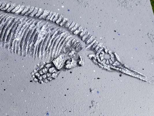 ICTHYOSAUR Faux Fossil Plaster Marine Reptile Fossil Art