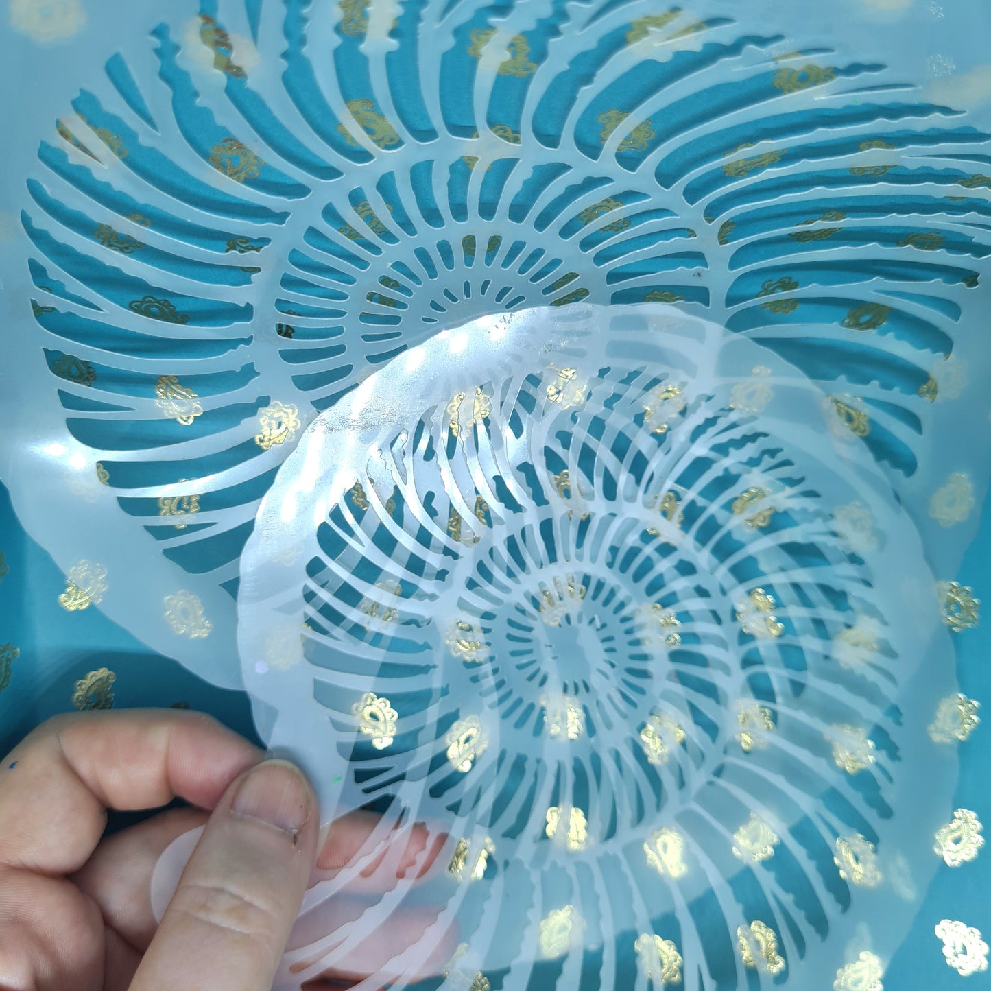 Fine ribbed Fossil Ammonite jurassic Stencil facepaint bodyart cakecraft