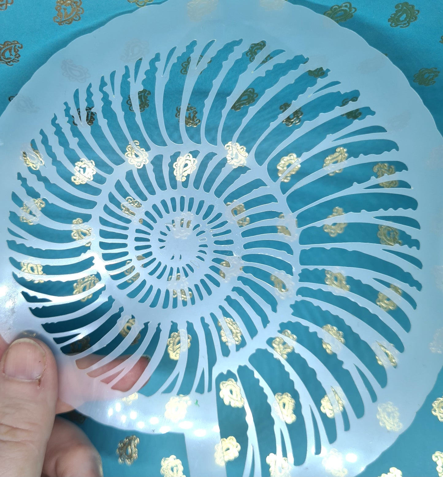 Fine ribbed Fossil Ammonite jurassic Stencil facepaint bodyart cakecraft