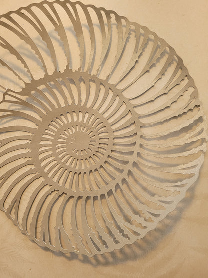 Papercut Fossil Ammonite Assemblage or Single Ammonite