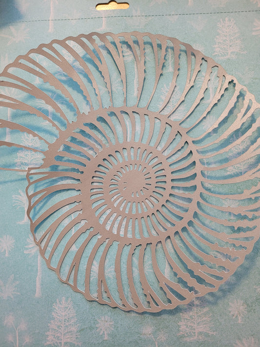 Papercut Fossil Ammonite Assemblage or Single Ammonite