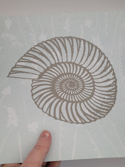 Papercut Fossil Ammonite Assemblage or Single Ammonite