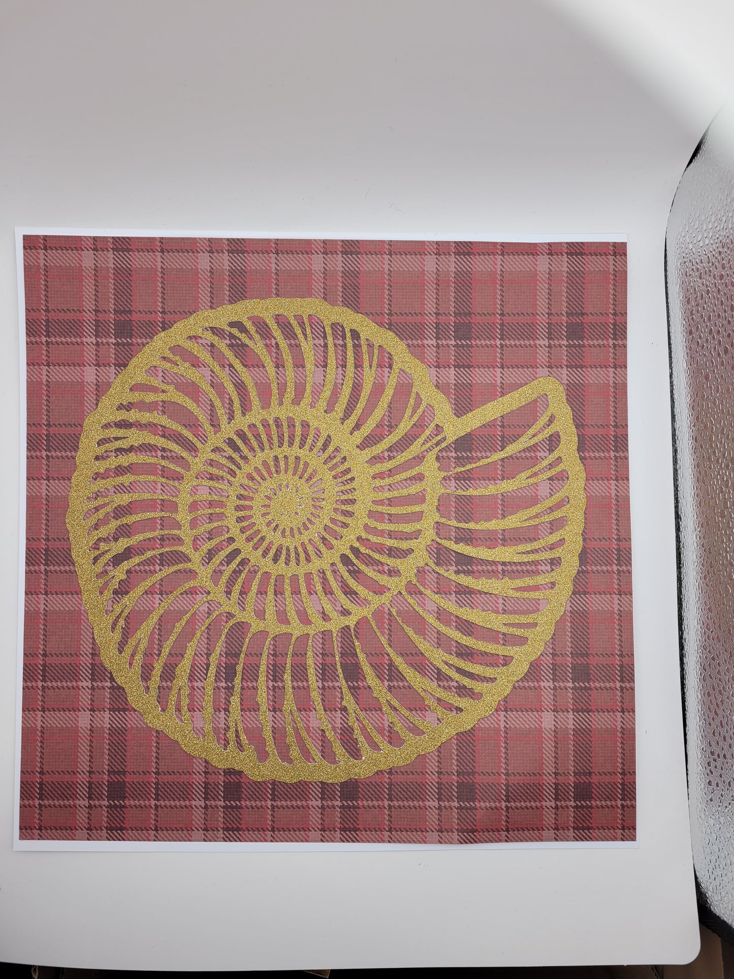 Papercut Fossil Ammonite Assemblage or Single Ammonite