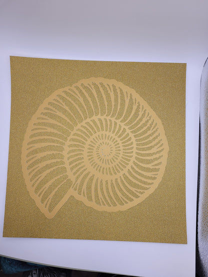 Papercut Fossil Ammonite Assemblage or Single Ammonite