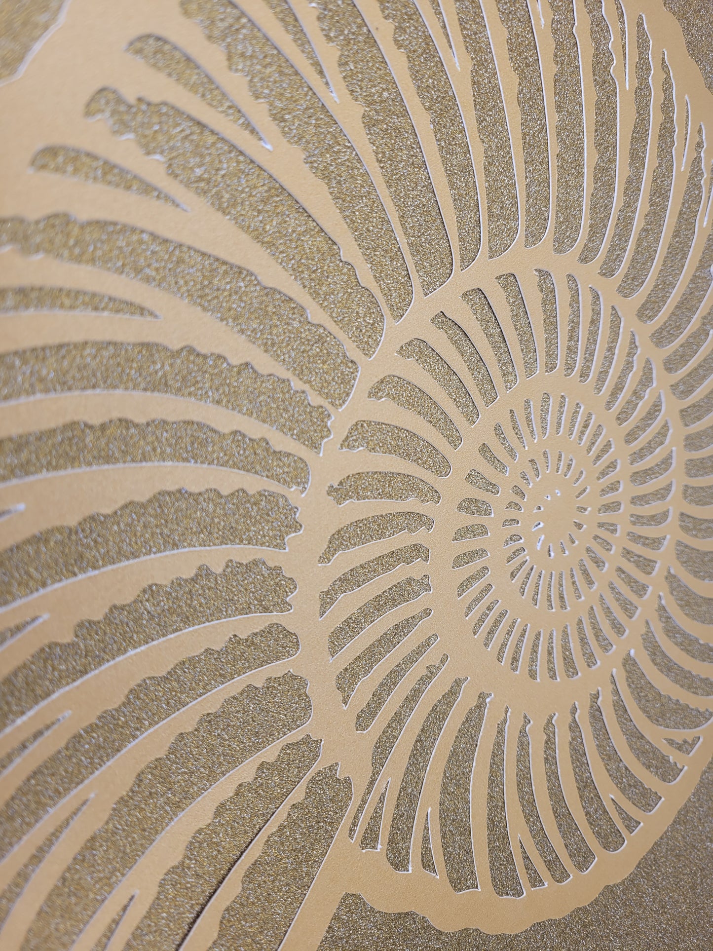 Papercut Fossil Ammonite Assemblage or Single Ammonite