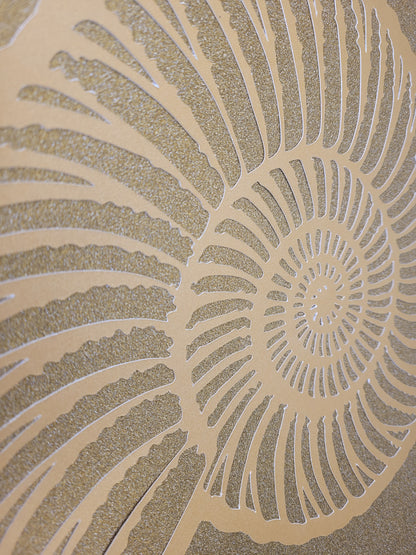 Papercut Fossil Ammonite Assemblage or Single Ammonite