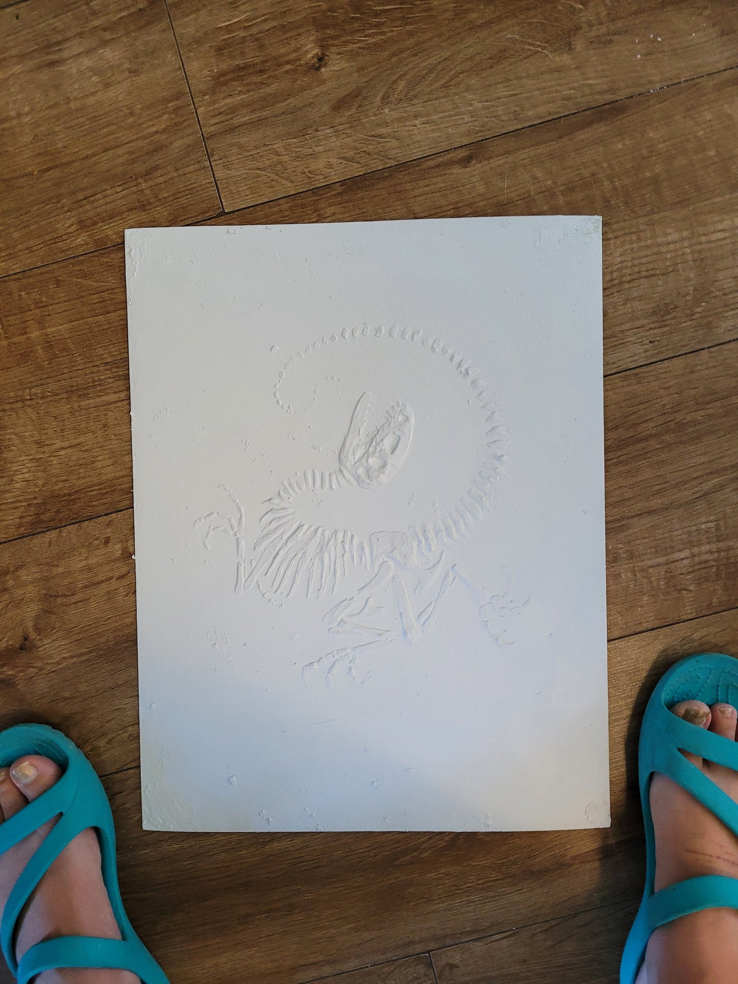 RAPTOR DINOSAUR Faux Fossil Death Curl Plaster Reptile Fossil Art