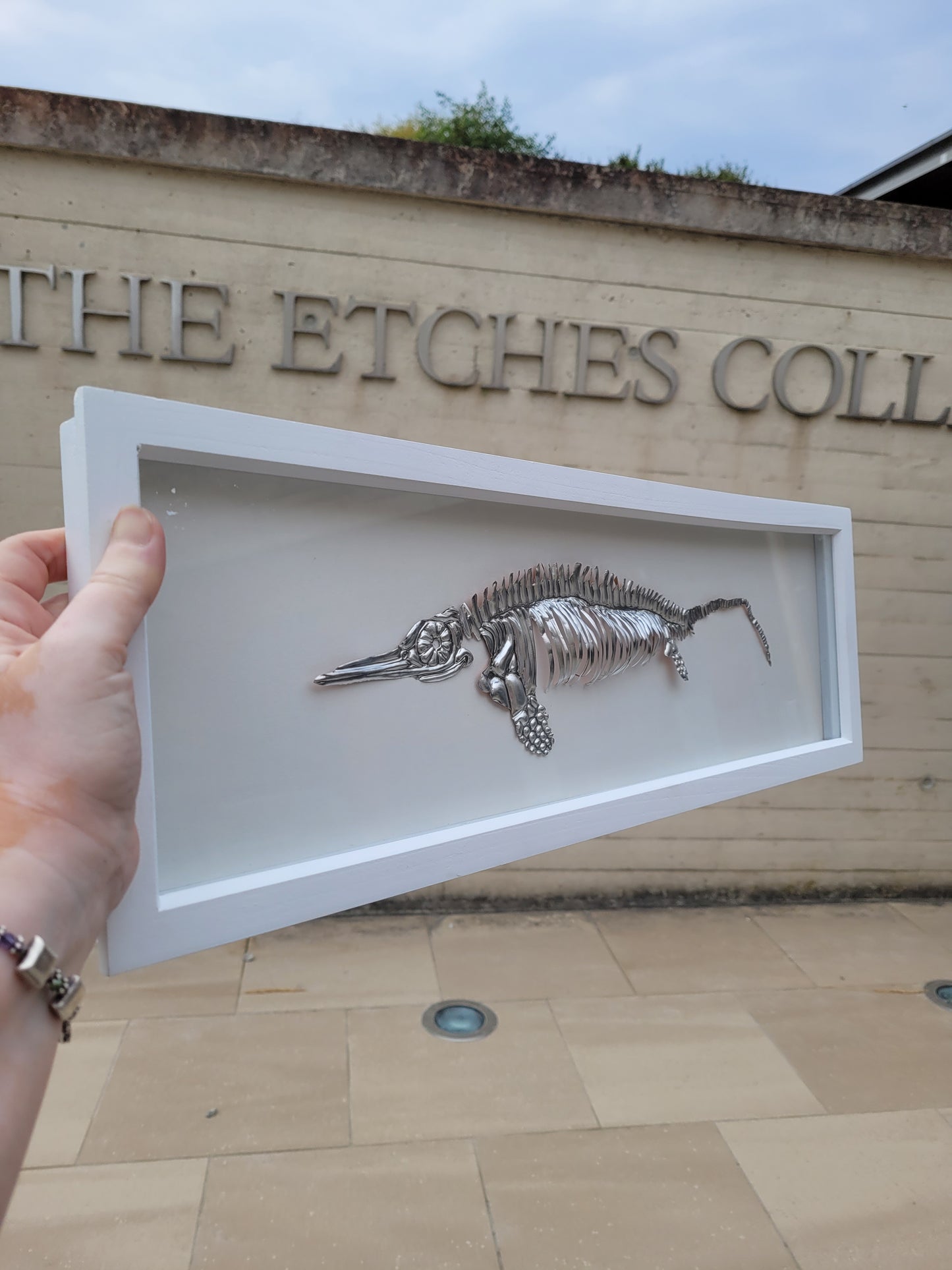 Icthyosaur Aluminium Anning  (Aluminium Fossil Art) 23x8 inch frame