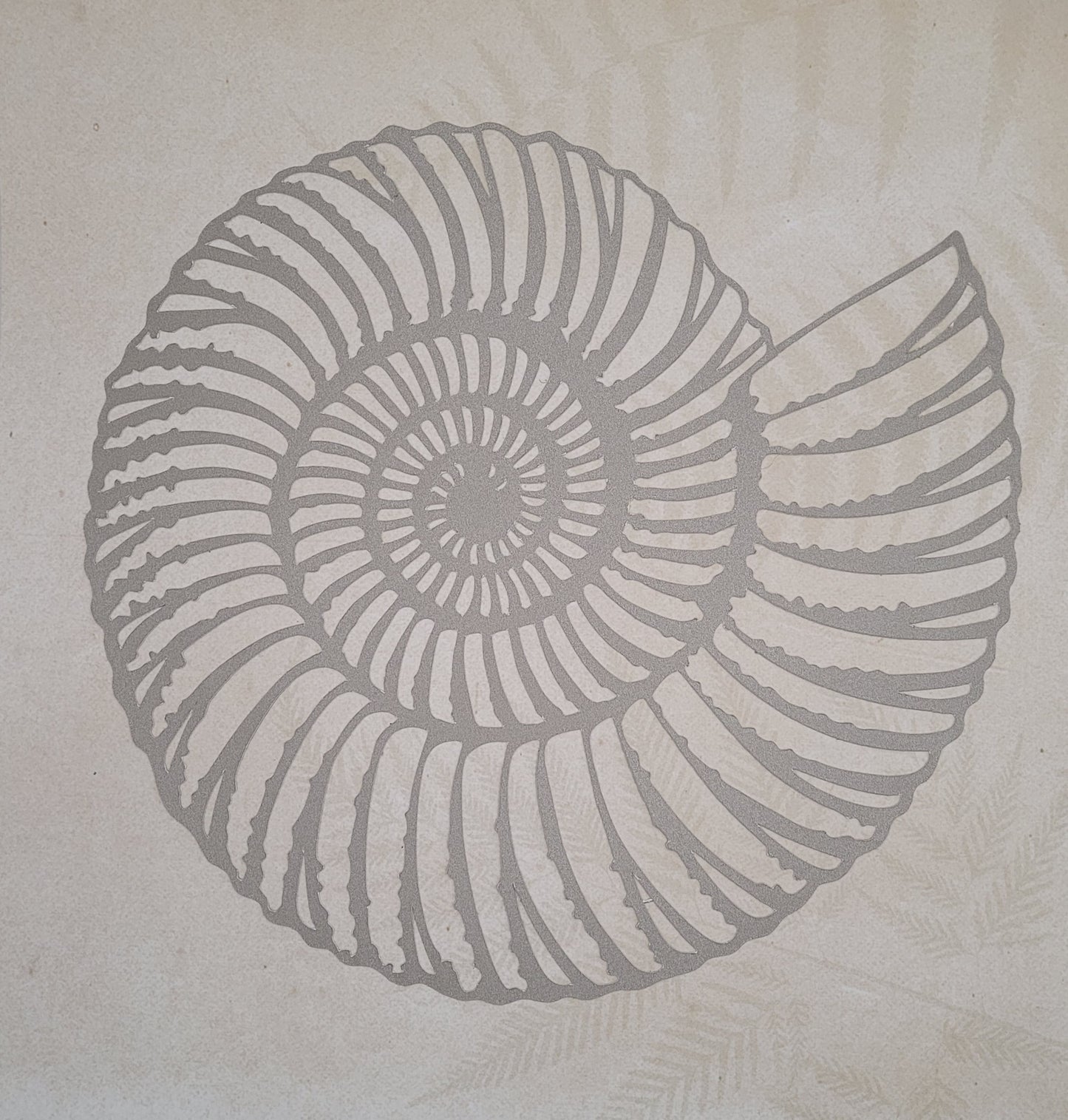 Papercut Fossil Ammonite Assemblage or Single Ammonite