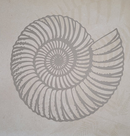 Papercut Fossil Ammonite Assemblage or Single Ammonite