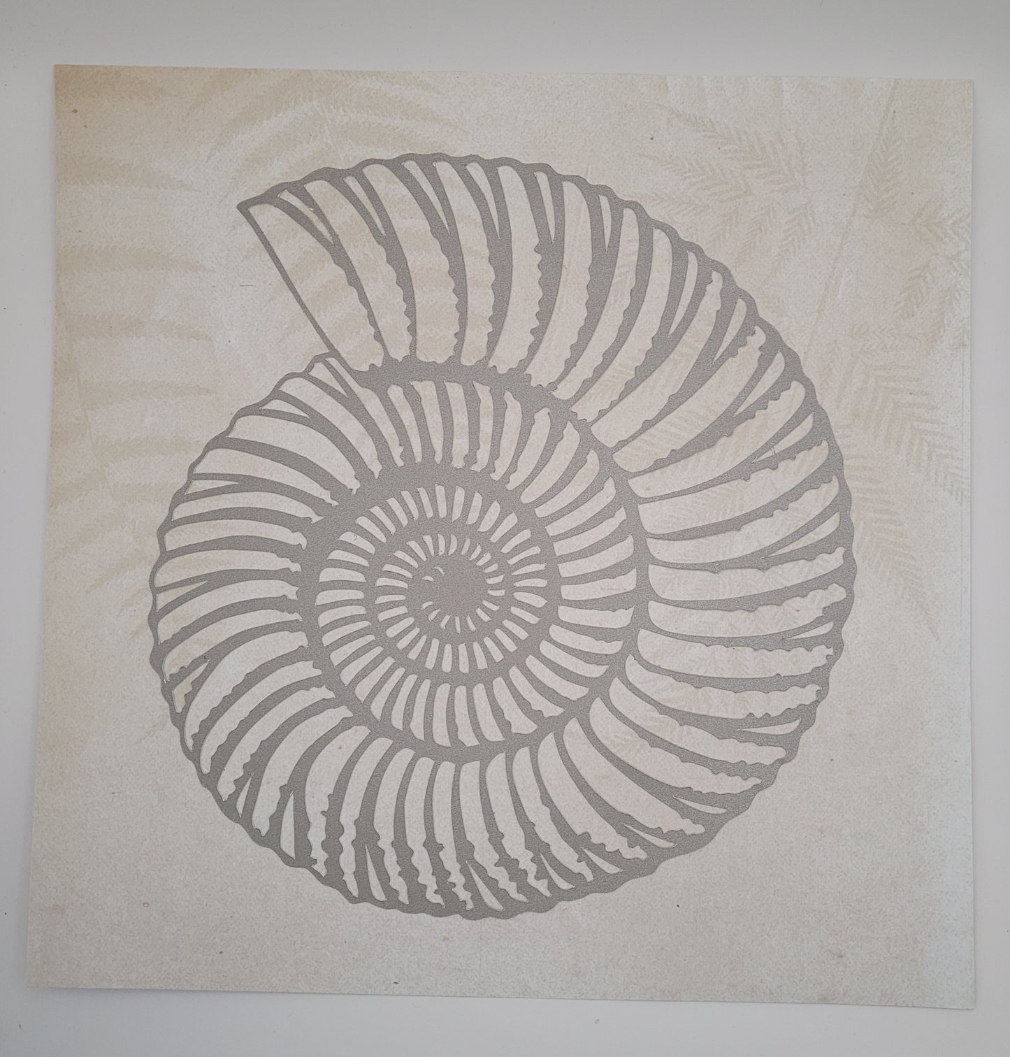 Papercut Fossil Ammonite Assemblage or Single Ammonite