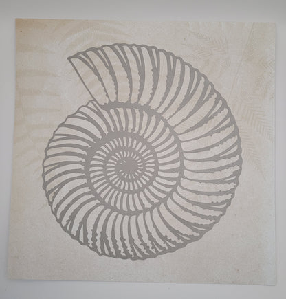 Papercut Fossil Ammonite Assemblage or Single Ammonite