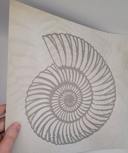 Papercut Fossil Ammonite Assemblage or Single Ammonite