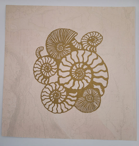 Papercut Fossil Ammonite Assemblage or Single Ammonite