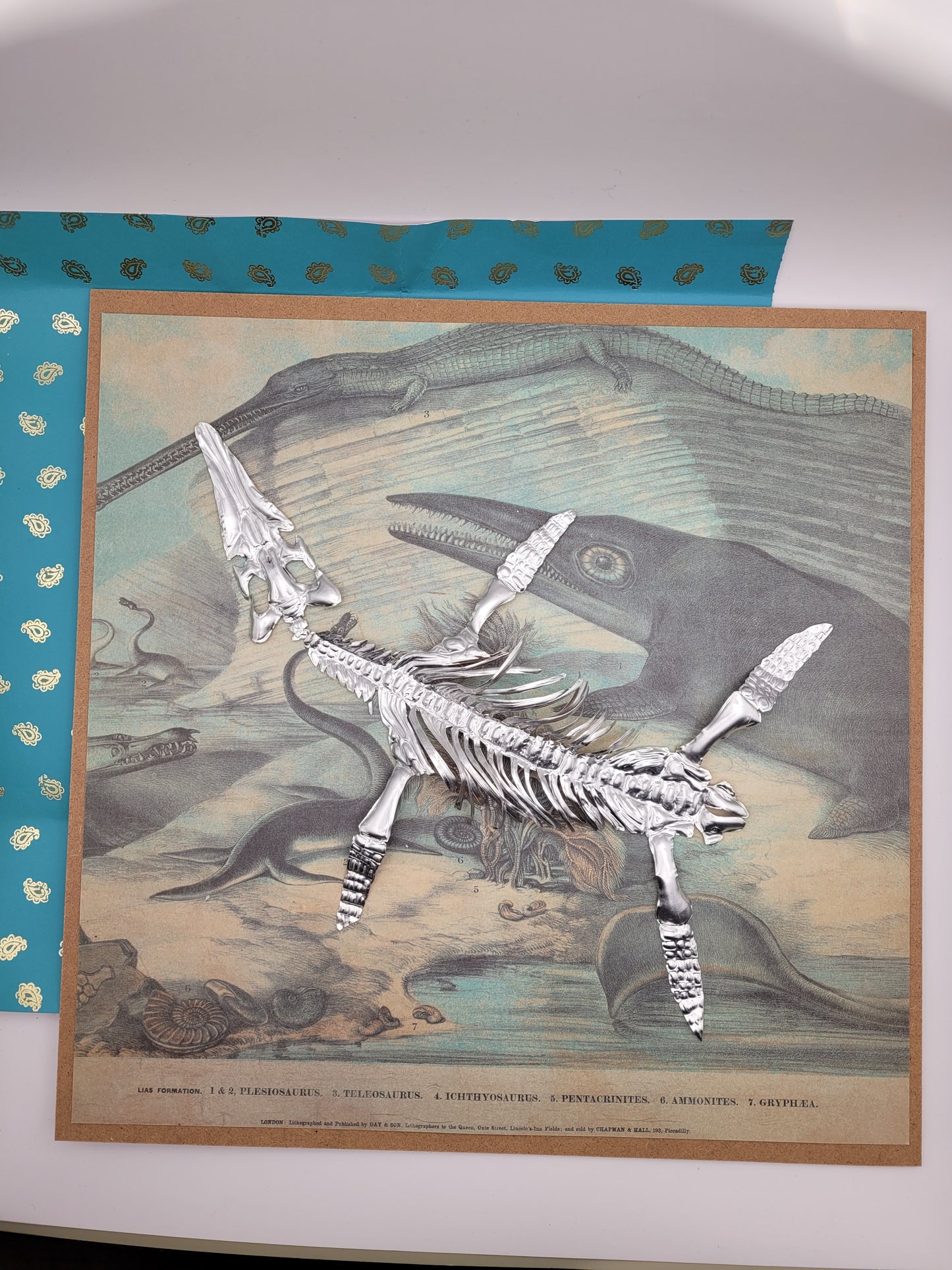 Silvery Sea Rex Pliosaur (Aluminium Marine Reptile Fossil Art)