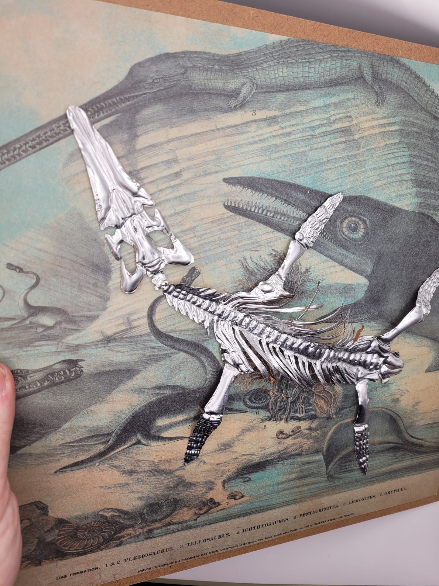 Silvery Sea Rex Pliosaur (Aluminium Marine Reptile Fossil Art)