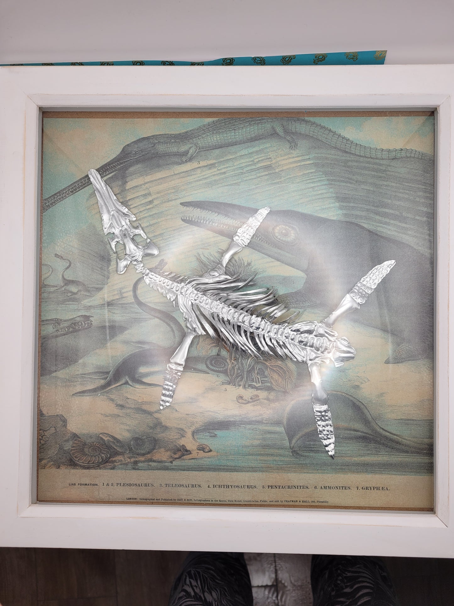 Silvery Sea Rex Pliosaur (Aluminium Marine Reptile Fossil Art)