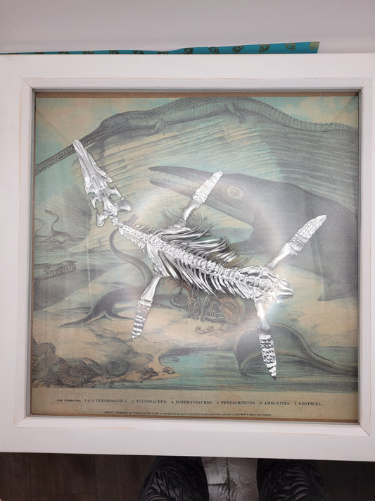 Silvery Sea Rex Pliosaur (Aluminium Marine Reptile Fossil Art)