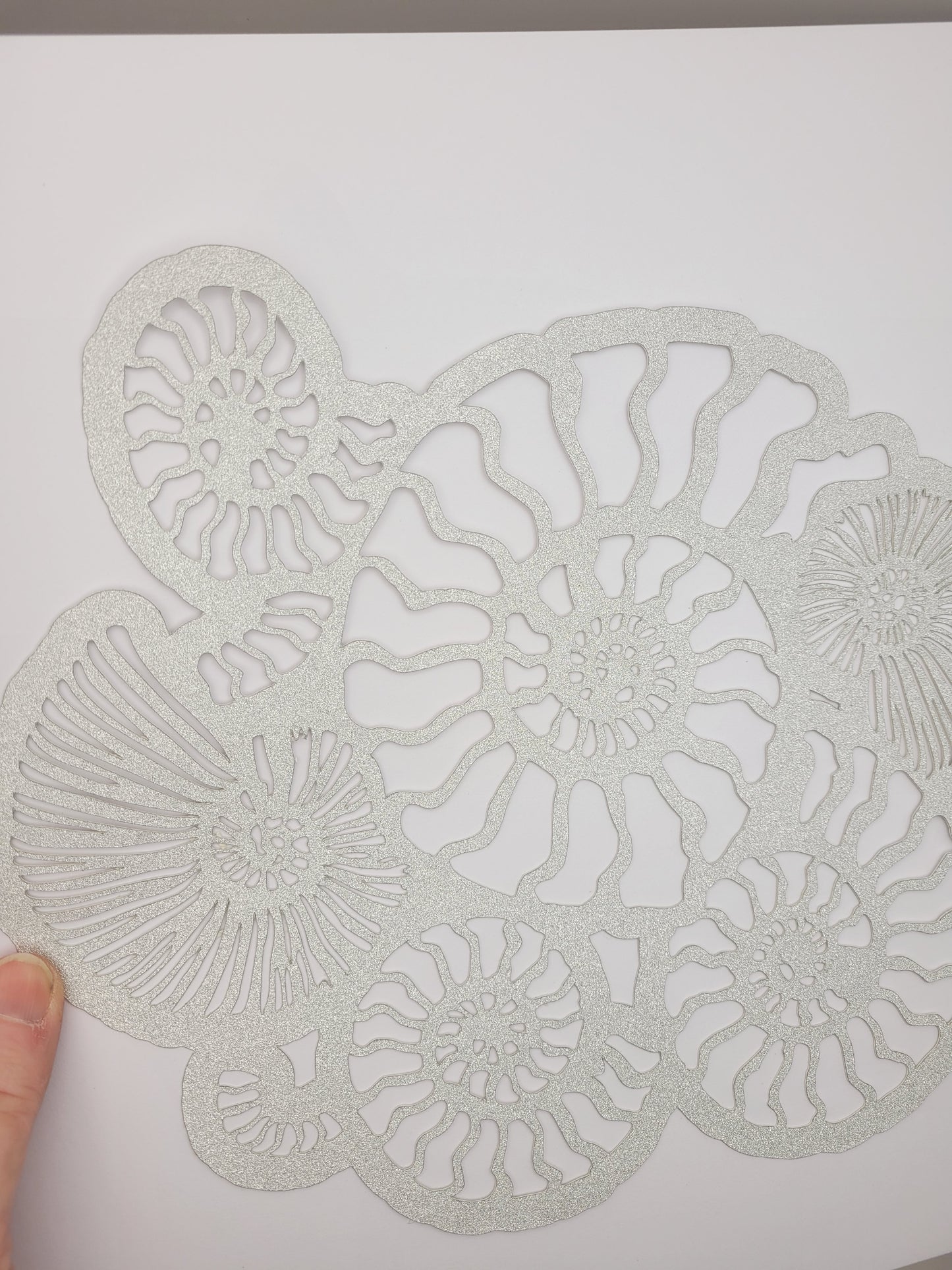 Papercut Fossil Ammonite Assemblage or Single Ammonite