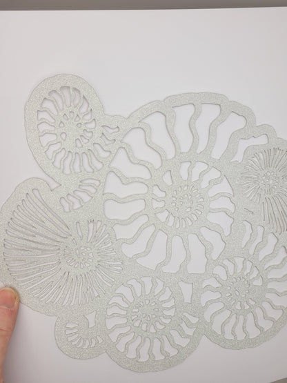 Papercut Fossil Ammonite Assemblage or Single Ammonite