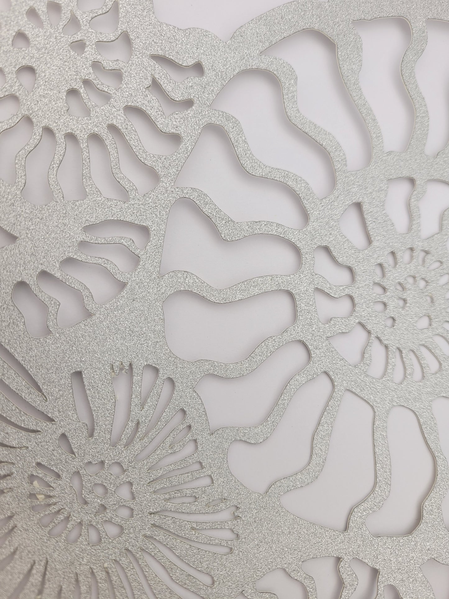 Papercut Fossil Ammonite Assemblage or Single Ammonite