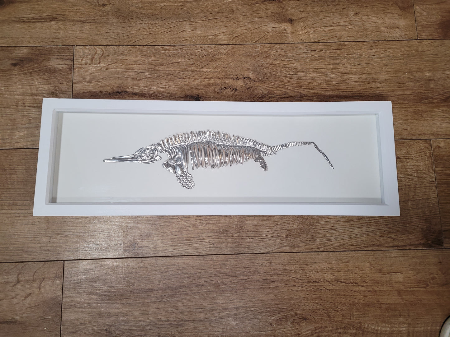 Icthyosaur Aluminium Anning  (Aluminium Fossil Art) 23x8 inch frame