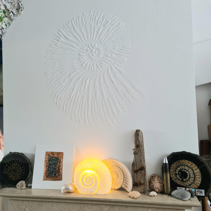 AMMONITE Faux Fossil Plaster Dinosaur Reptile Fossil Art