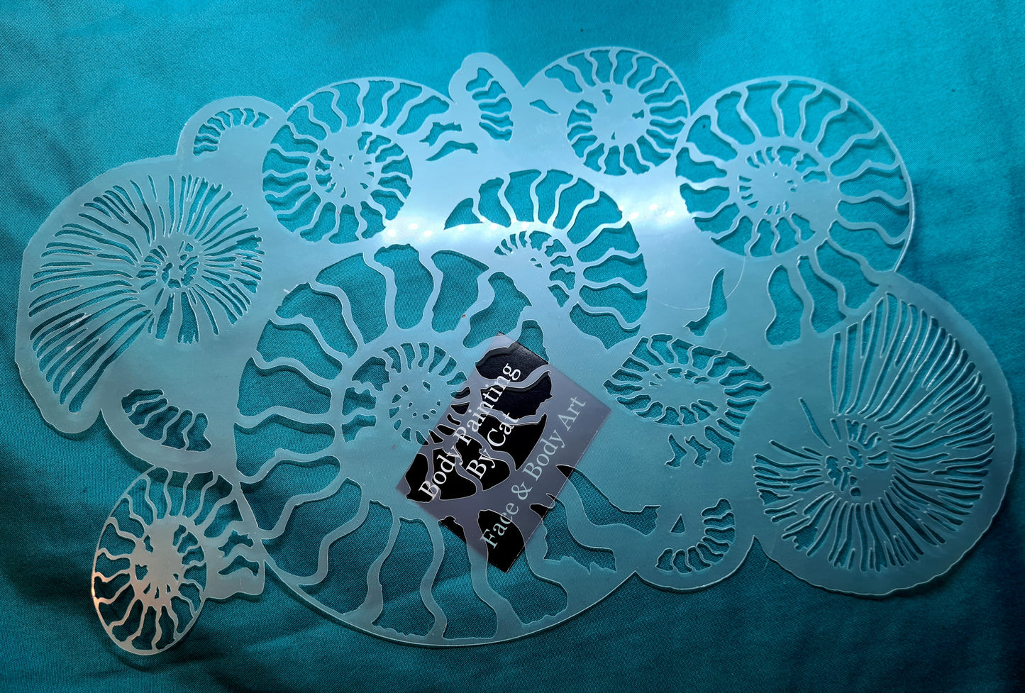 Fossil Ammonite assemblage snail mollusc spiral jurassic Stencil deathbed