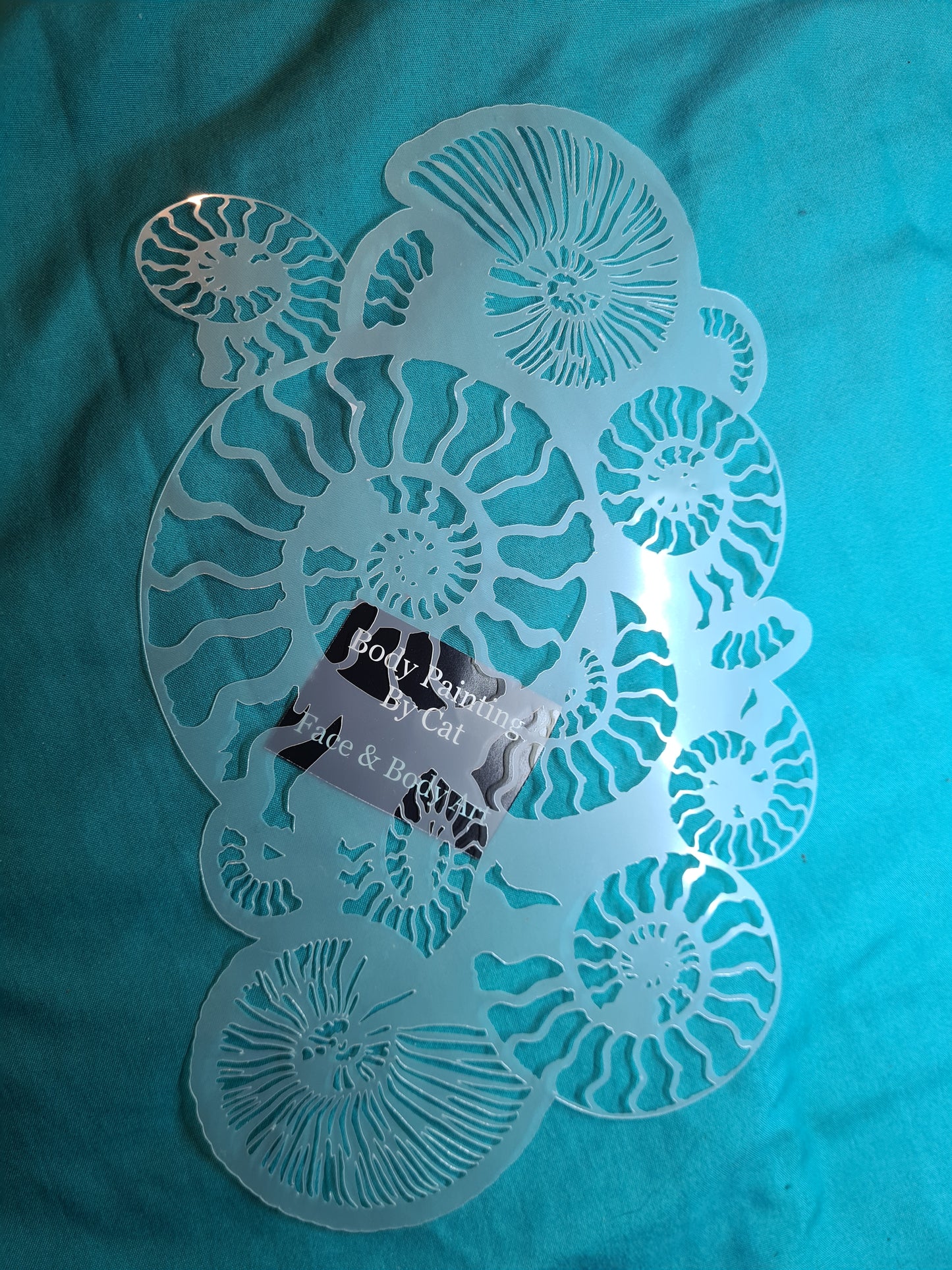 Fossil Ammonite assemblage snail mollusc spiral jurassic Stencil deathbed