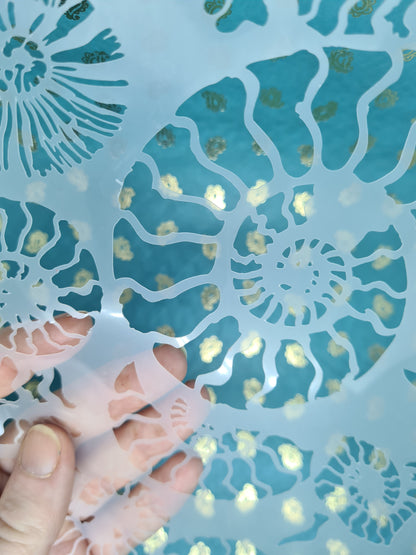 Fossil Ammonite assemblage snail mollusc spiral jurassic Stencil deathbed