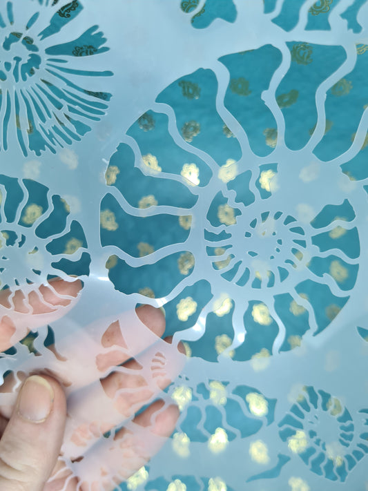 Fossil Ammonite assemblage snail mollusc spiral jurassic Stencil deathbed