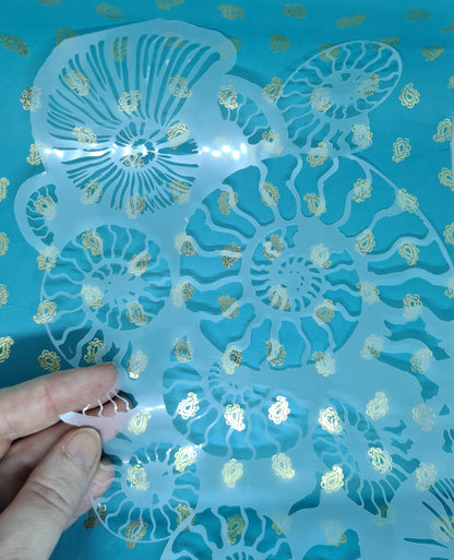 Fossil Ammonite assemblage snail mollusc spiral jurassic Stencil deathbed