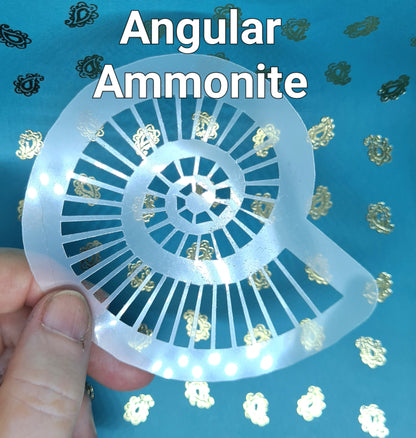 Angular Fossil Ammonite snail spiral jurassic Stencil deathbed assemblage