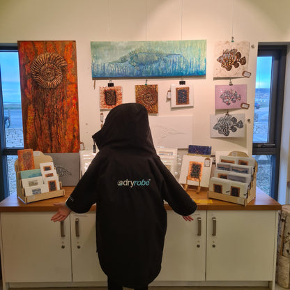 ICTHYOSAUR Faux Fossil Plaster Marine Reptile Fossil Art