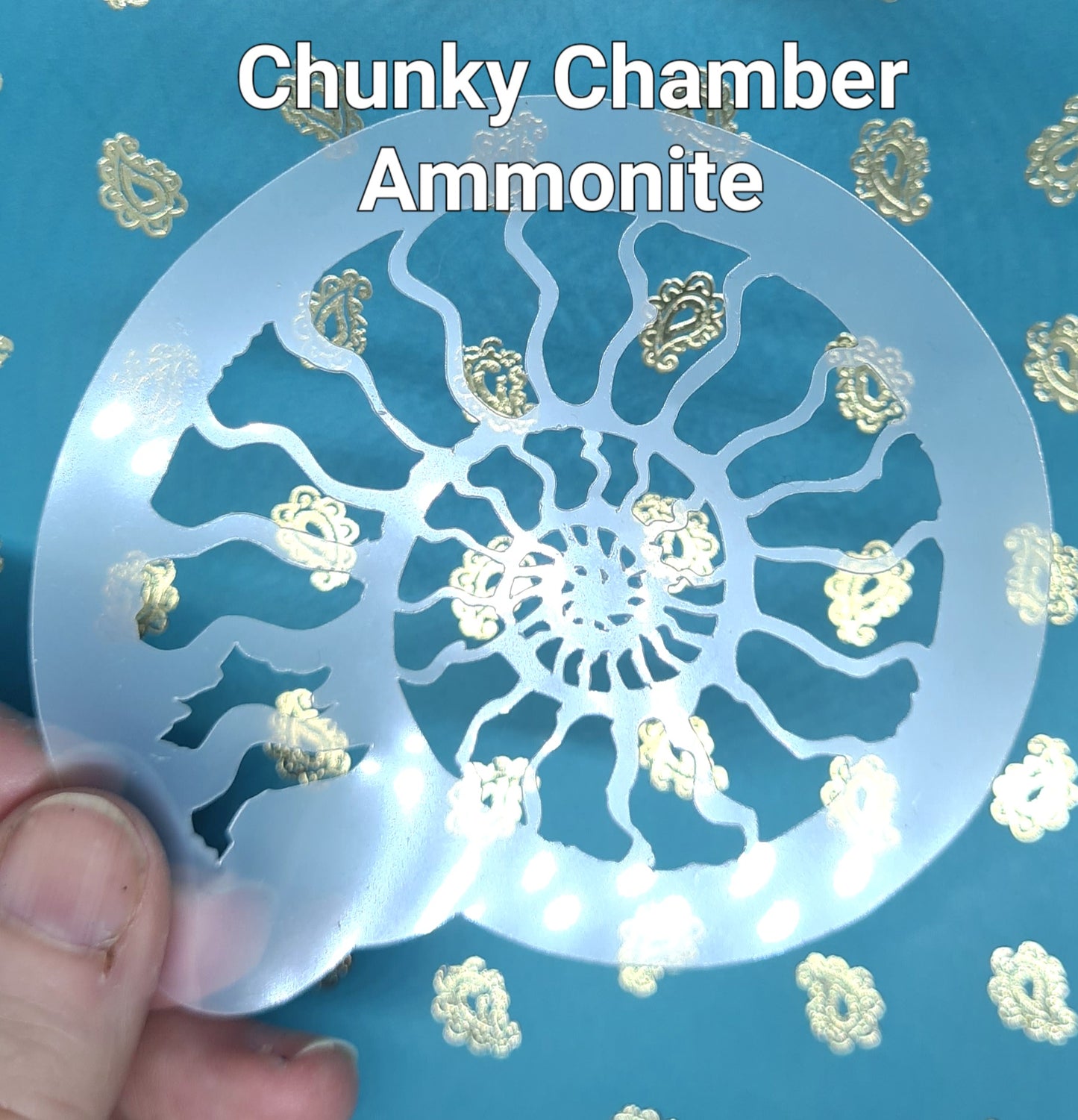Chunky Chamber Fossil Ammonite spiral jurassic Stencil bodyart airbrush cakecraft