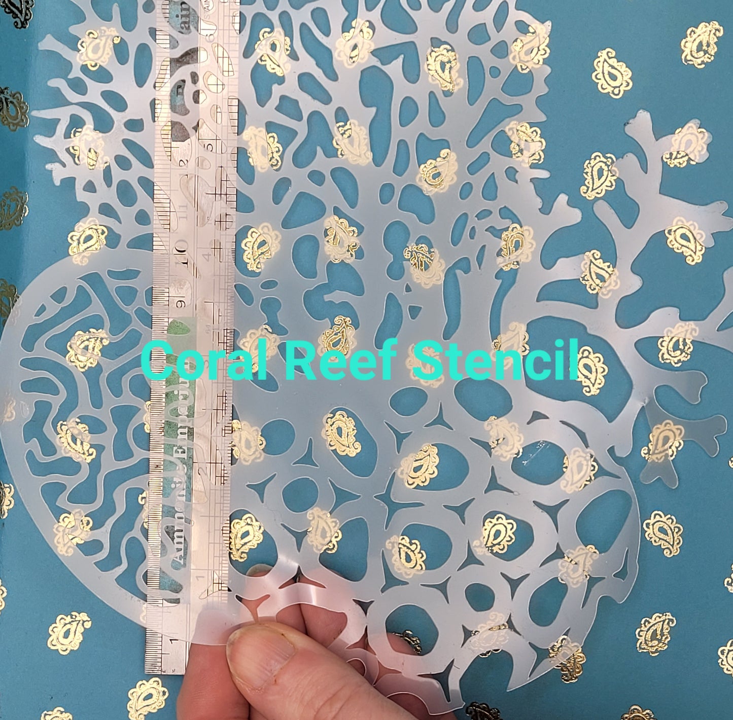 Coral reef staghorn fan brain reusable stencil facepaint bodyart cakecraft