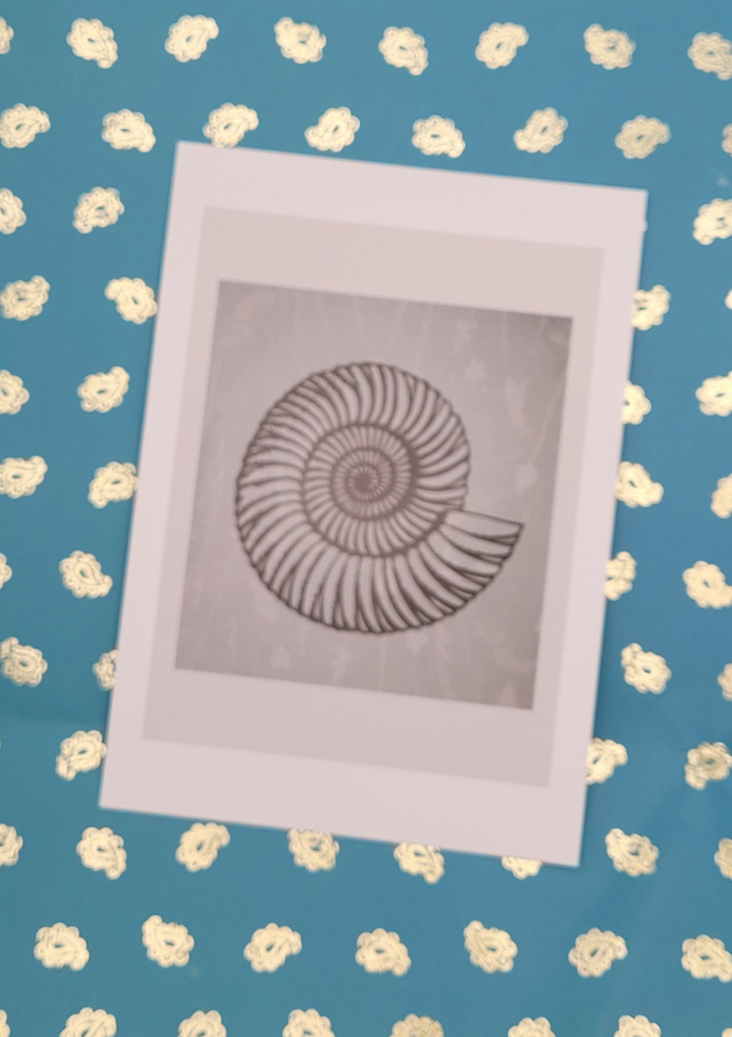 Ammonite Pastel Postcard Art Card