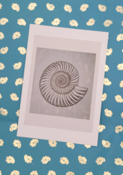 Ammonite Pastel Postcard Art Card