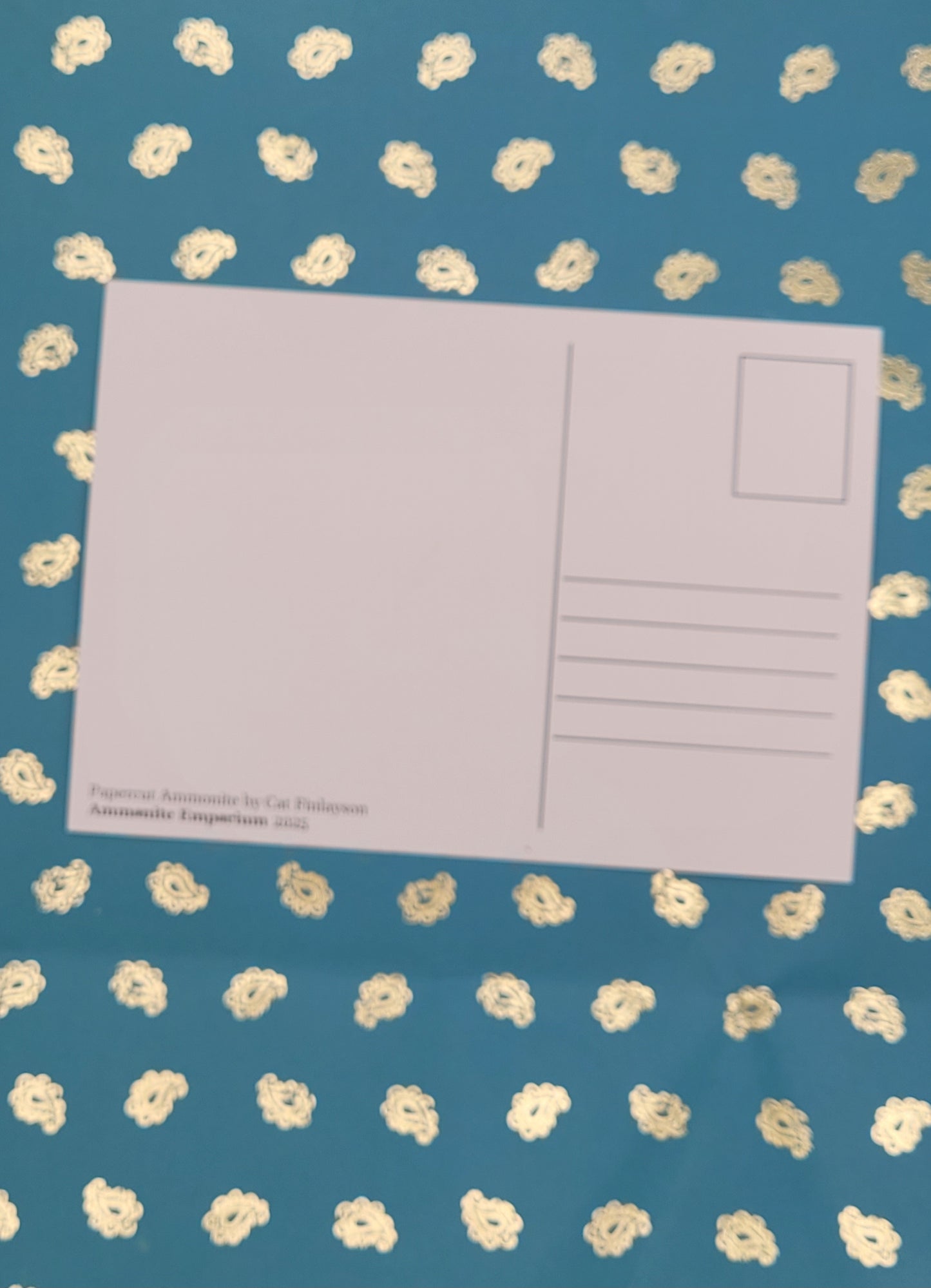 Ammonite Pastel Postcard Art Card