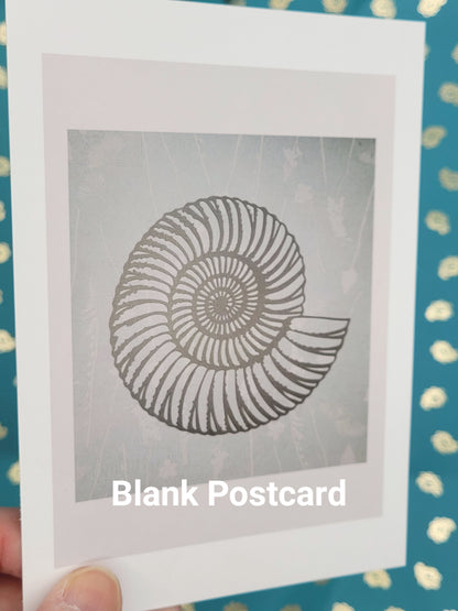 Ammonite Pastel Postcard Art Card