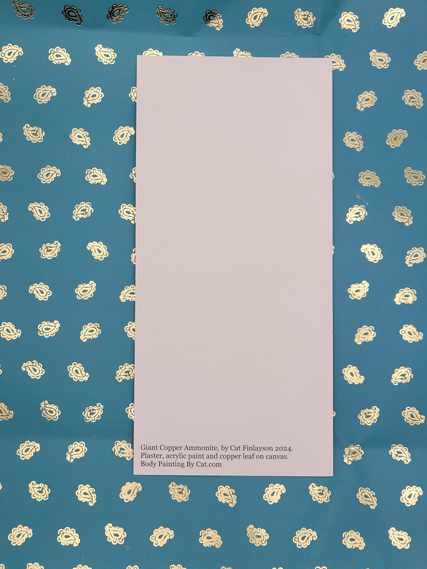 XL long Ammonite Postcard Art Card