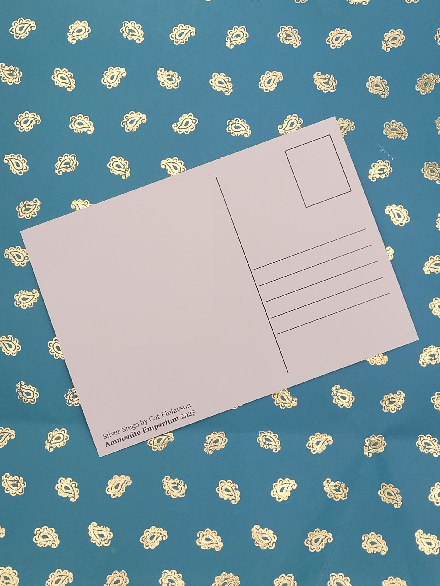 Silver Stegosaur Aluminium Postcard Art Card