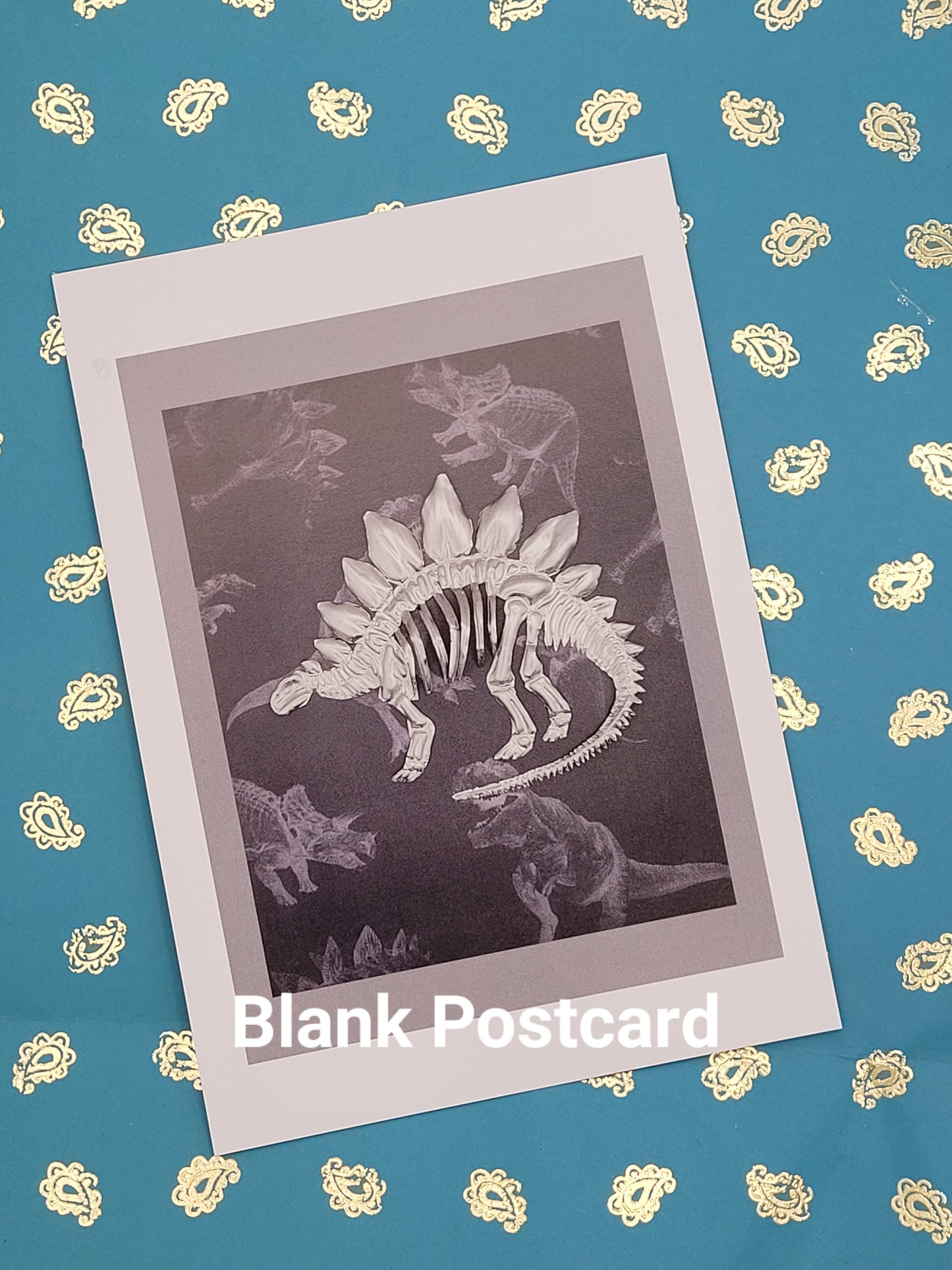 Silver Stegosaur Aluminium Postcard Art Card