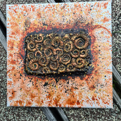 Rectangular Ammonite Assemblages (Metallic Foil 3d Art) Decor Art