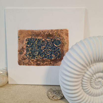 Rectangular Ammonite Assemblages (Metallic Foil 3d Art) Decor Art