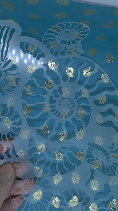 Fossil Ammonite assemblage snail mollusc spiral jurassic Stencil deathbed