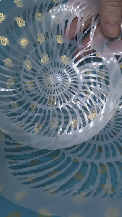 Fine ribbed Fossil Ammonite jurassic Stencil facepaint bodyart cakecraft