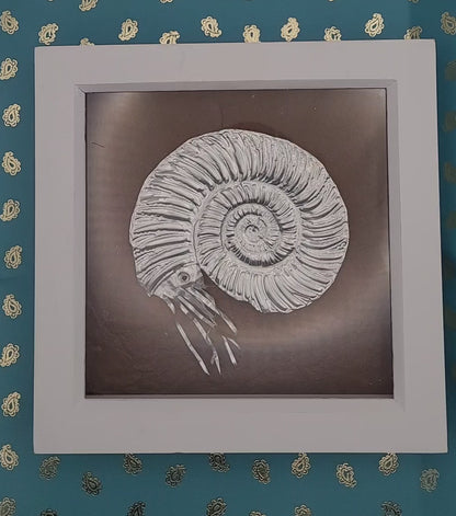 Silver Cephalopod Ammonite (Aluminium Fossil Art)